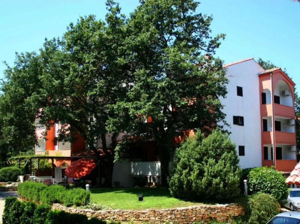 Appartement Rona Volta